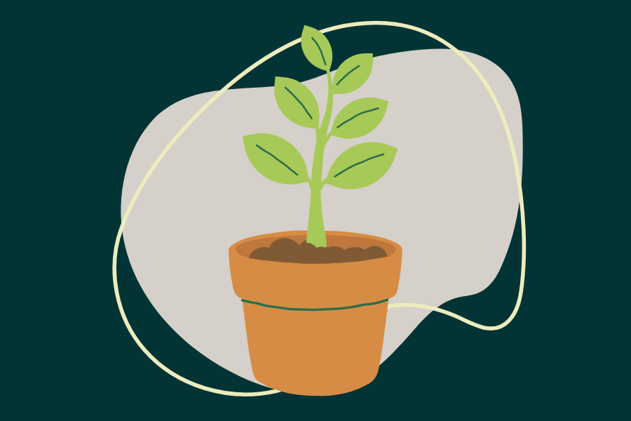 Illustration of a plant in a pot.