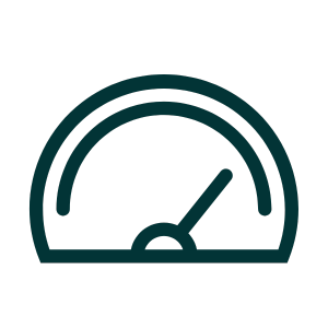 Speedometer icon to represent website performance